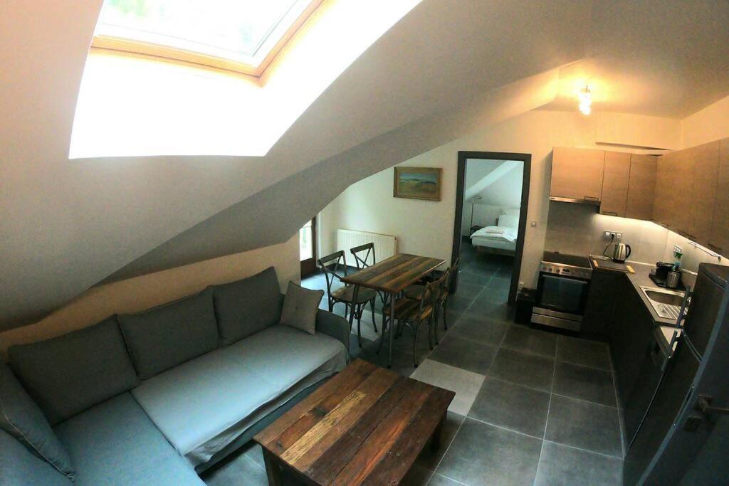 The Mountain Loft Klinovec - With Infrasauna Jachymov Εξωτερικό φωτογραφία