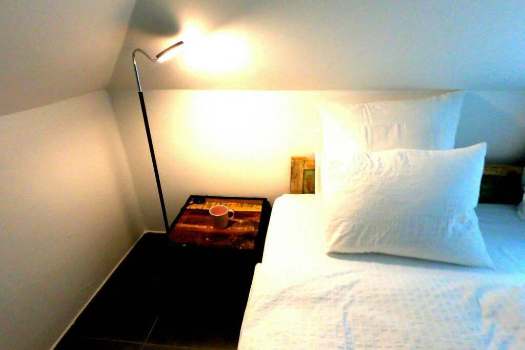 The Mountain Loft Klinovec - With Infrasauna Jachymov Εξωτερικό φωτογραφία