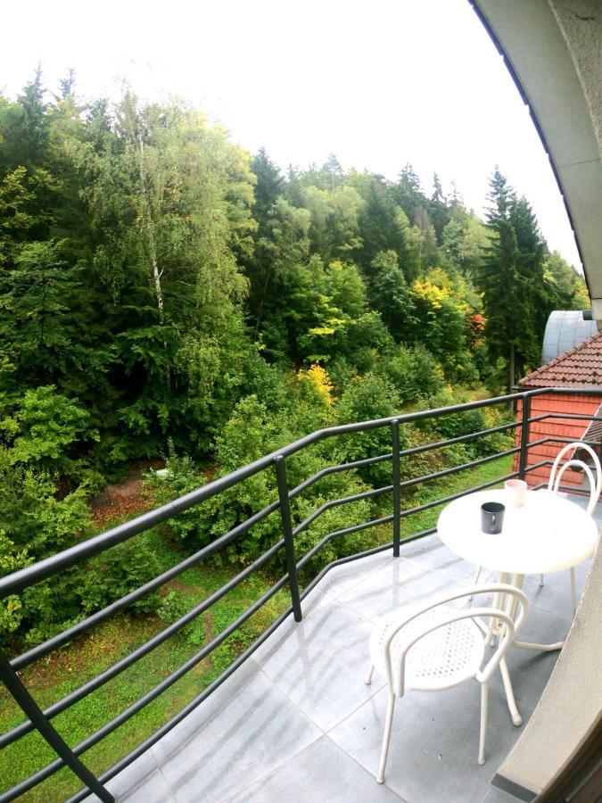 The Mountain Loft Klinovec - With Infrasauna Jachymov Εξωτερικό φωτογραφία